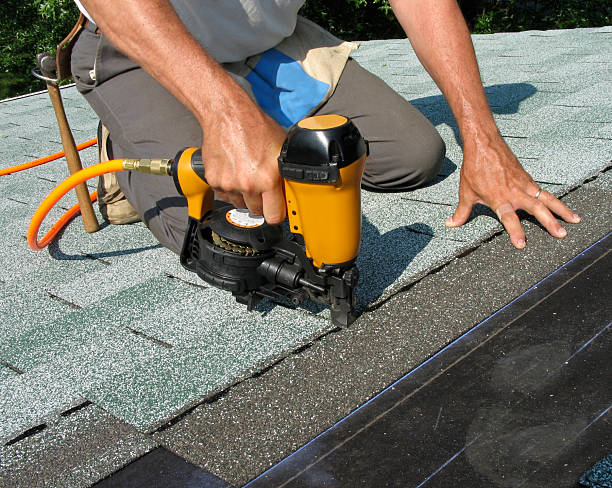 Roof Gutter Cleaning in Fremont, MI