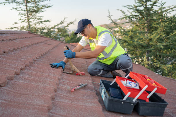 Best Metal Roofing Contractor  in Fremont, MI