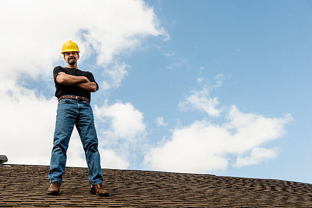 Best Roof Gutter Cleaning  in Fremont, MI