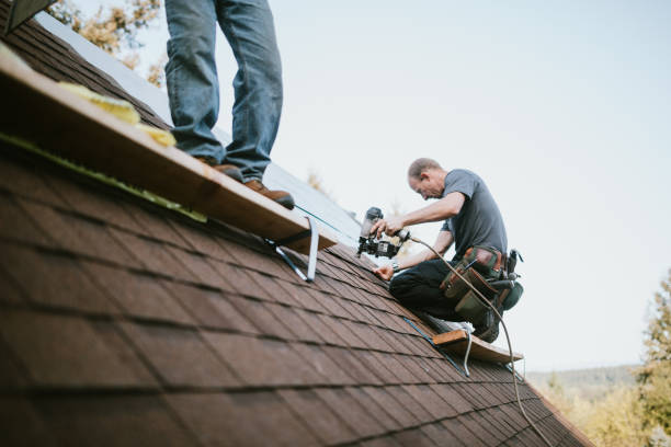 Best Roof Maintenance Services  in Fremont, MI